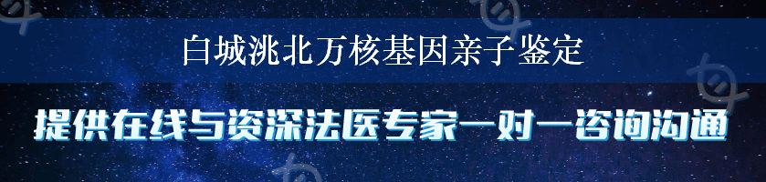 白城洮北万核基因亲子鉴定